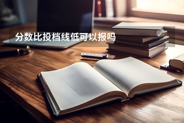 分数比投档线低可以报吗