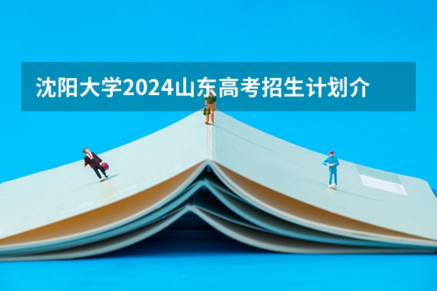 沈阳大学2024山东高考招生计划介绍