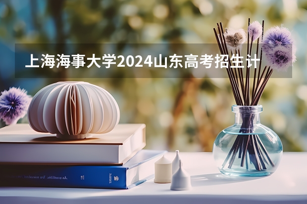 上海海事大学2024山东高考招生计划介绍