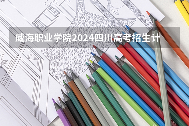 威海职业学院2024四川高考招生计划介绍