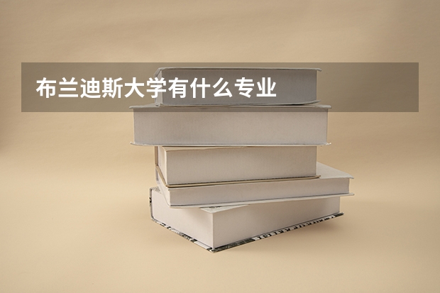 布兰迪斯大学有什么专业