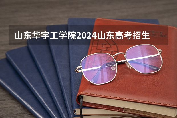 山东华宇工学院2024山东高考招生计划介绍