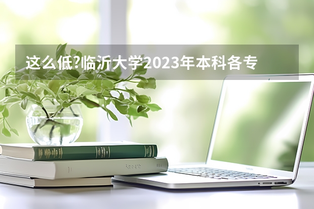 这么低?临沂大学2023年本科各专业录取分数线发布（临沂大学本科分数线2023年）
