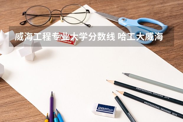 威海工程专业大学分数线 哈工大威海校区录取分数线