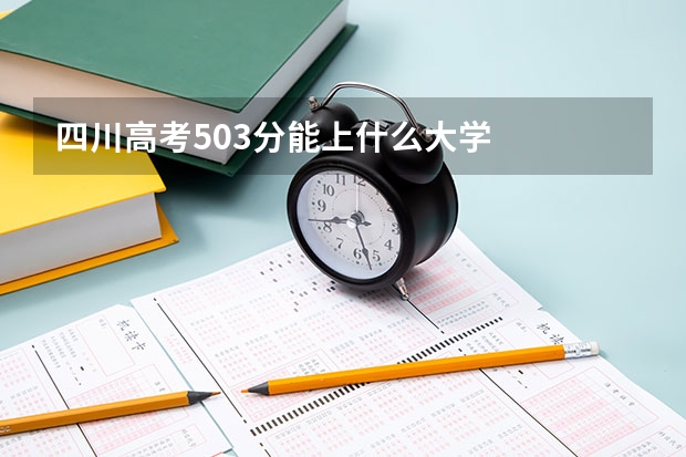 四川高考503分能上什么大学