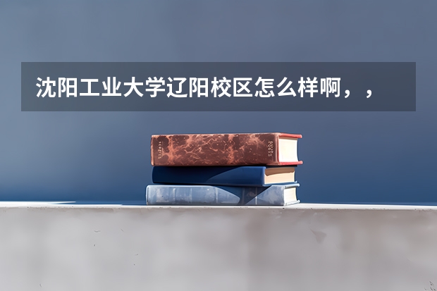 沈阳工业大学辽阳校区怎么样啊，，