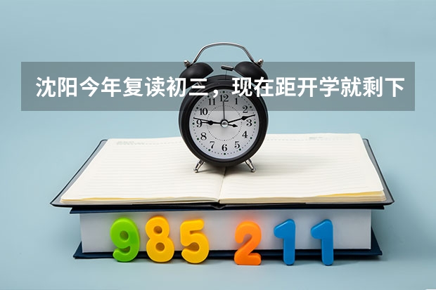 沈阳今年复读初三，现在距开学就剩下20天了，哪位给我点学习建议，该做什么，感激不尽