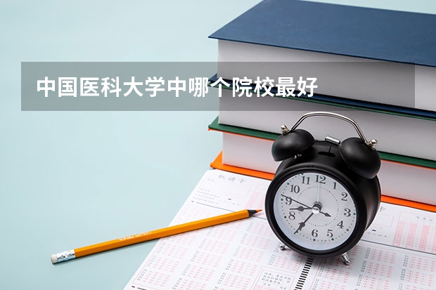 中国医科大学中哪个院校最好