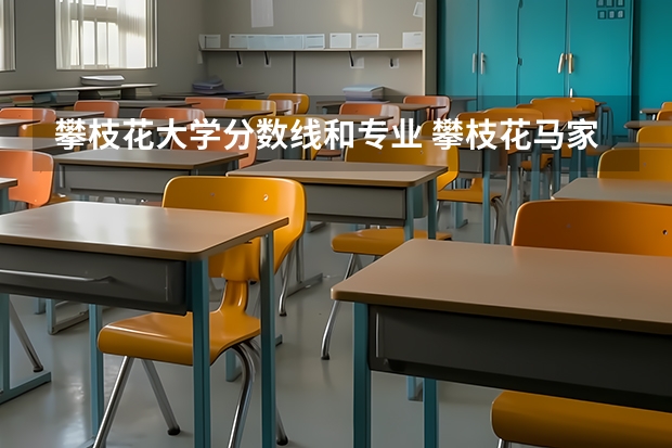 攀枝花大学分数线和专业 攀枝花马家田机电学院分数线