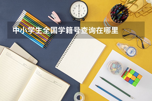 中小学生全国学籍号查询在哪里
