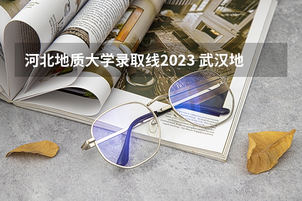 河北地质大学录取线2023 武汉地质大学2023录取线