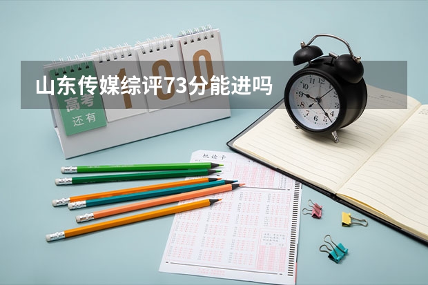 山东传媒综评73分能进吗