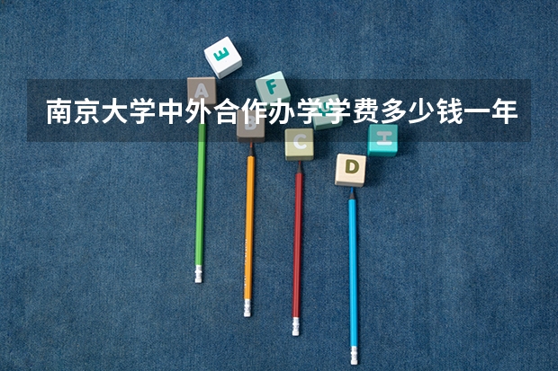 南京大学中外合作办学学费多少钱一年？