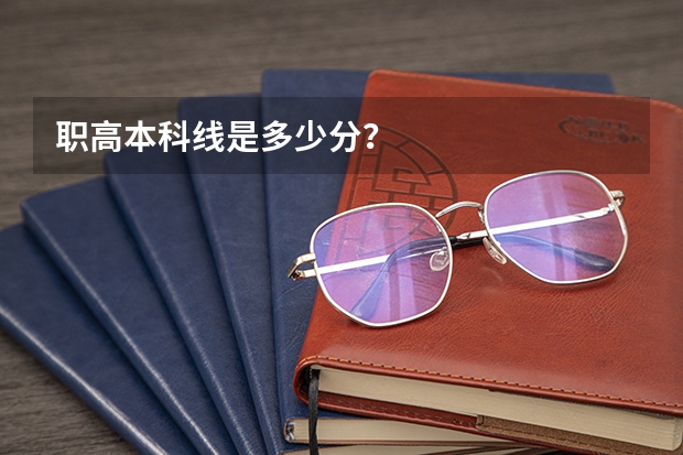 职高本科线是多少分？