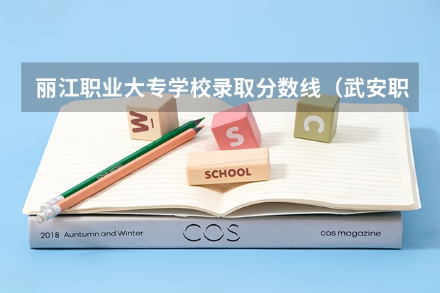 丽江职业大专学校录取分数线(武安职教中心分数线)