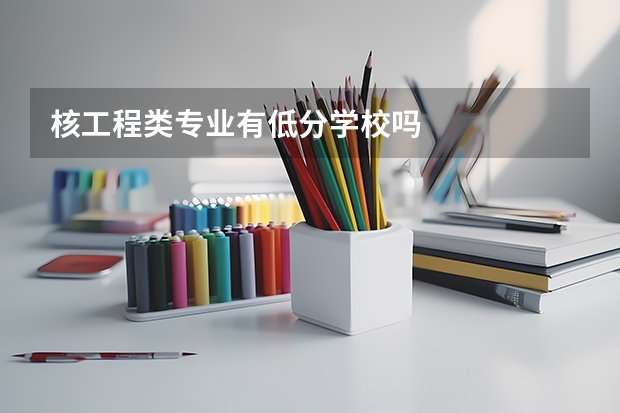 核工程类专业有低分学校吗