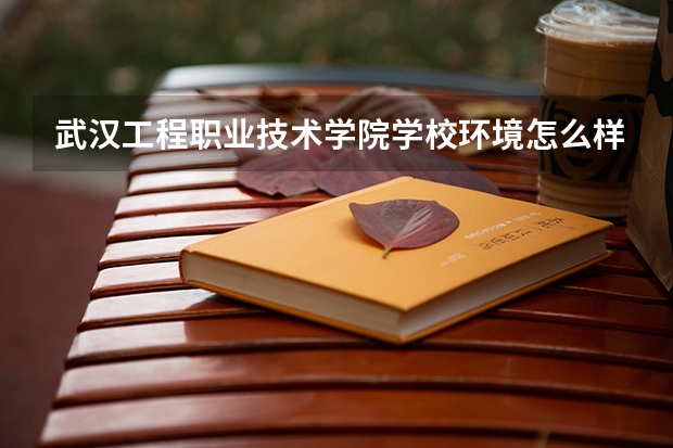 武汉工程职业技术学院学校环境怎么样 武汉工程职业技术学院学费贵不贵