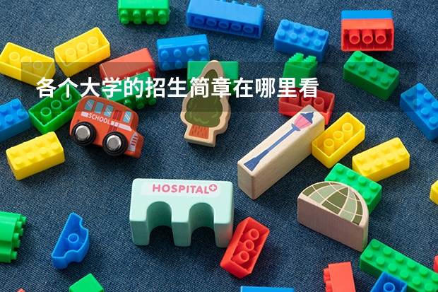 各个大学的招生简章在哪里看