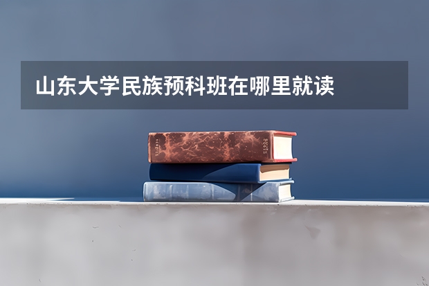 山东大学民族预科班在哪里就读