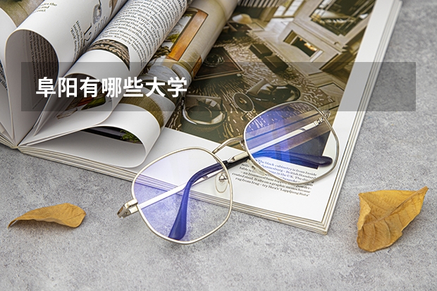 阜阳有哪些大学
