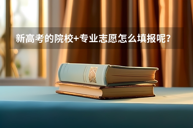 新高考的院校+专业志愿怎么填报呢？