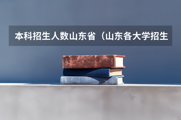 本科招生人数山东省（山东各大学招生人数）