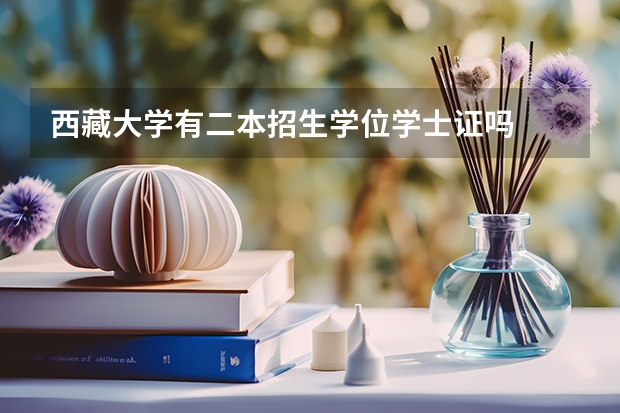西藏大学有二本招生学位学士证吗